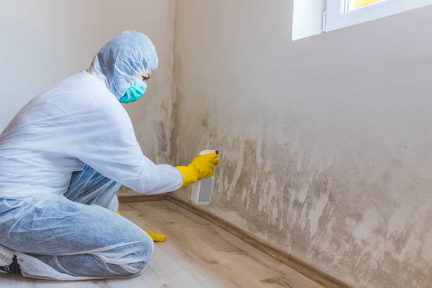 Mold Remediation specialist working in Warren